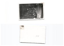 (b85930a18)   2. Weltkrieg