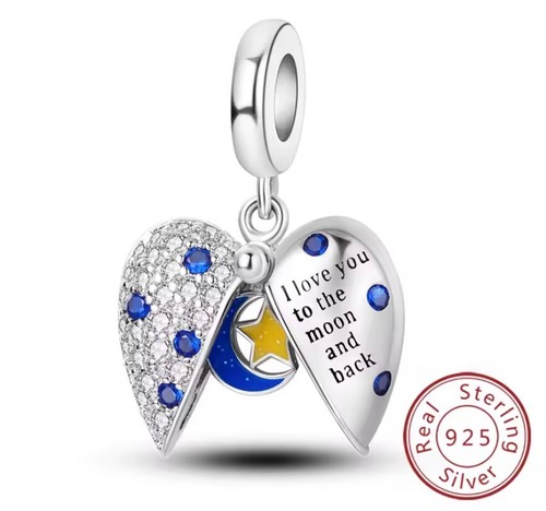 Charm anhänger silber - charm,
