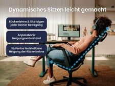 Ergotopia NextBack -