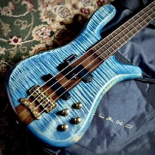 Warwick masterbuilt streamer - warwick,
