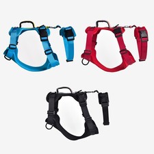 BlueGuard Sicherheitsgeschirr