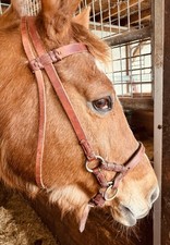 Gebissloser zaum trense - /,
