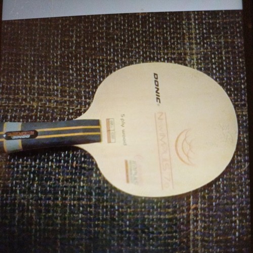 Tibhar neues hinoki 1ply - hinoki,