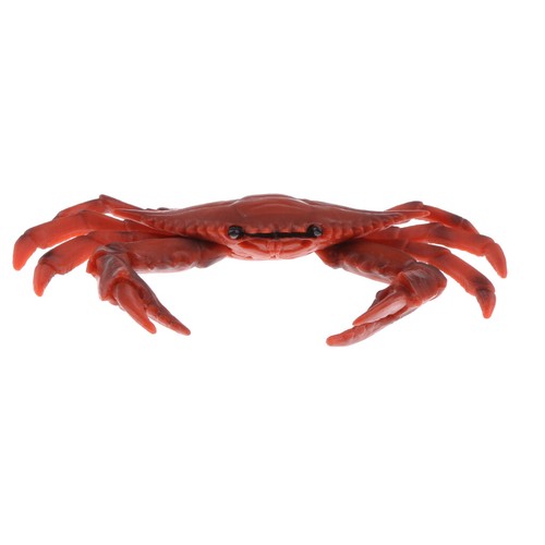 Dekor krabbe krebs meerestier - dekor,