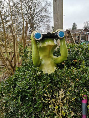Deko figur spanner - frosch, mit