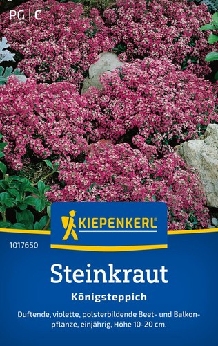 Kiepenkerl steinkrautsamen - kiepenkerl,