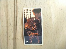 Nr 31 Dunkin Terminator 2