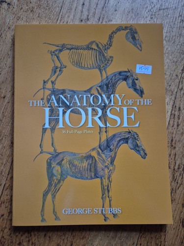 The anatomy - anatomy, horse