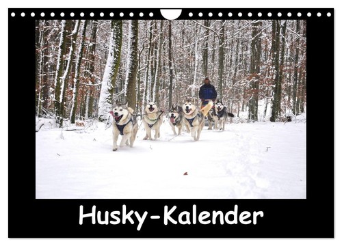 Husky kalender wandkalender - husky-kalender, (wandkalender