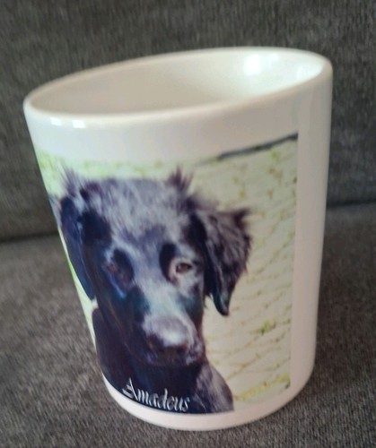 Tasse mit hund amadeus neu - mit,