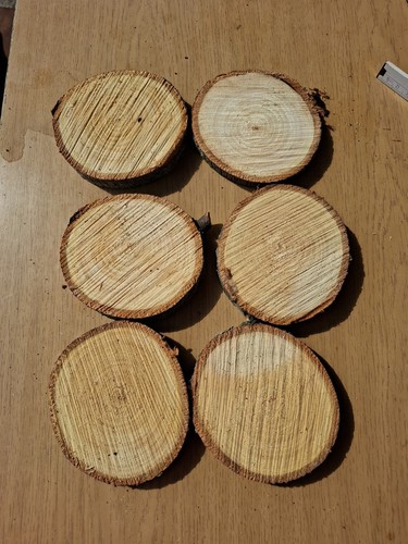 Baumscheiben linde stück je - 6,