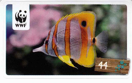 Rewe wwf tier abenteuer - wwf,