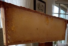 Honigwaben und/oder Honig aus eigener Imkerei, ca.2000 g 