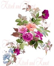 Rosenranke watercolor