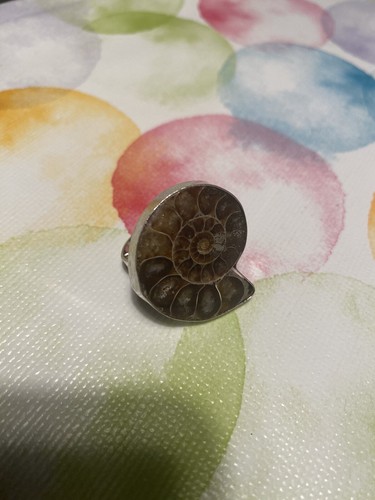 Großer echter fossil ring - großer,