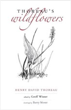 Thoreau's Wildflowers -