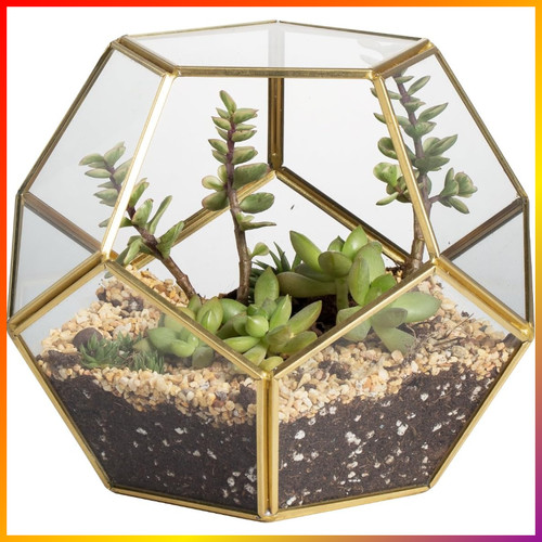 Glas terrarium pentagonal - glas,