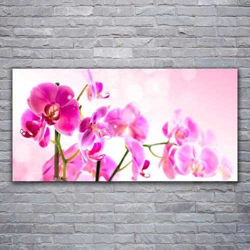 Acrylglasbilder wandbilder - acrylglasbilder,