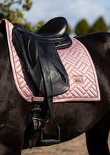 Equestrian Stockholm Midsummer