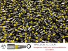 10er Set Torx Bits T10 T15 T20