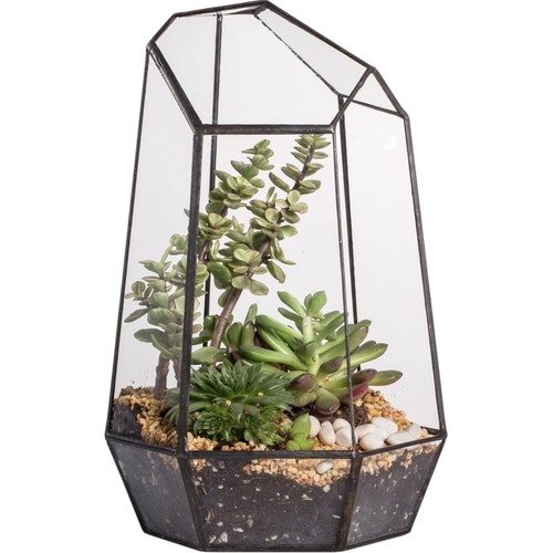 Terrarium glas geometrisch - glas,