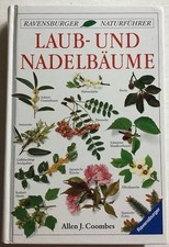 Laub- und Nadelbäume