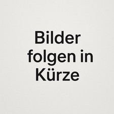 1x 5H0601025A Original VW Golf 8 Alufelge San Antonio 7Jx16H2 ET48 (19)