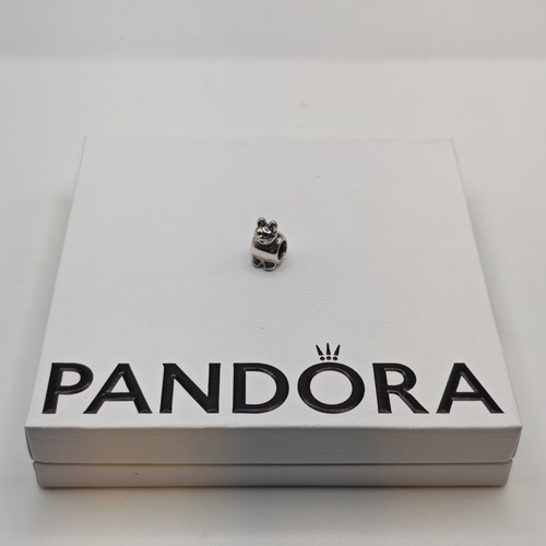 Pandora katze kätzchen - pandora,
