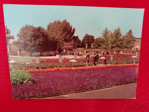 Erfurt 1981 gartenschau - erfurt,