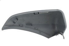 Exterior Mirror - Trim BLIC