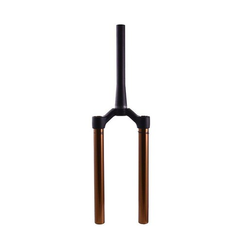 2020 fox csu kashima 29 - 2020, 29"