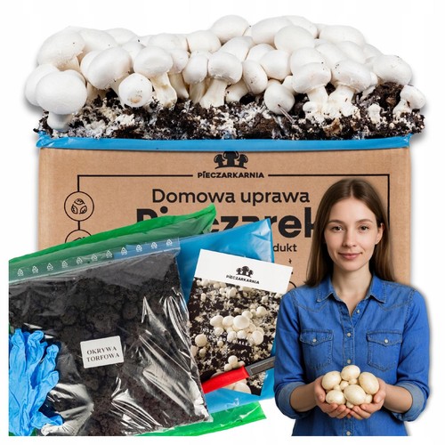 Champignon anzuchtset kg - champignon,