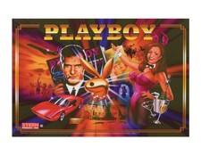 Stern Pinball Flipper Playboy