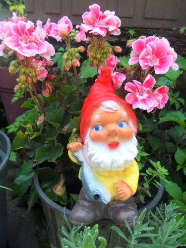 Niedlicher gartenzwerg angler - niedlicher,