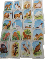 Fritz Baumgarten Kartenspiel