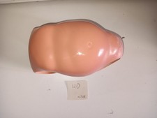 Schildkröt  :  Puppen Rumpf