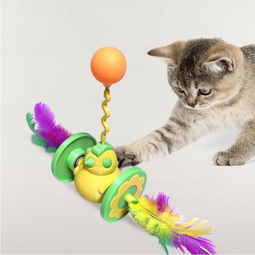 Katzen-Rollball-Spielzeug