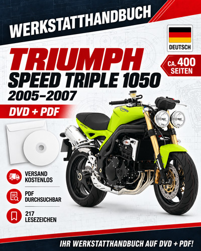 Triumph speed triple 1050 - triumph,