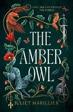 Amber Owl by Juliet Marillier
