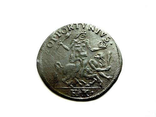 Rechenpfennig opportunius - rechenpfennig,