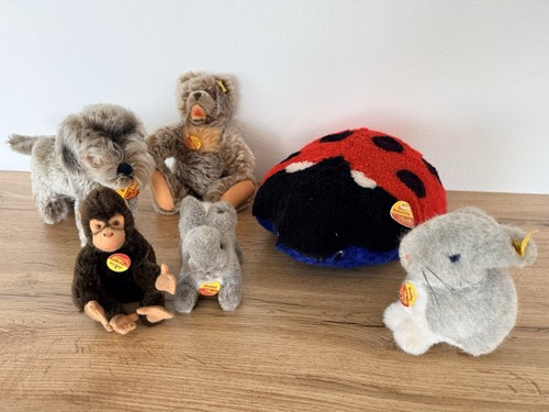 6er steiff konvolut zotty - 6er,