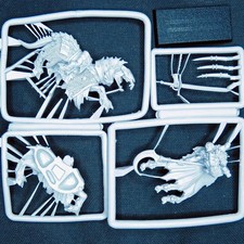 GW - Vampire Counts - Mounted