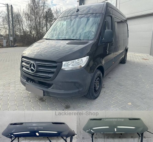 Motorhaube lackiert - motorhaube,
