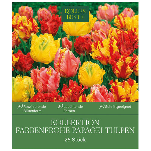 Kölles beste blumenzwiebeln - kölles,