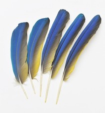 5 Stk .26,5-22 cm rechts