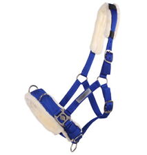 Kappzaum Longierhalfter Pferde