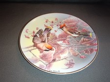 Rosenthal Porzellan Wandteller