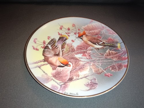 Rosenthal porzellan wandteller - rosenthal,