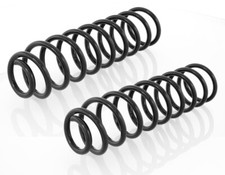 2 Federn Hinten für Seat Cordoba I, Ibiza 6K, Polo 6N1, 6N2 1993-2002  NEU  GH