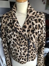Leo leoparden animal - leo,